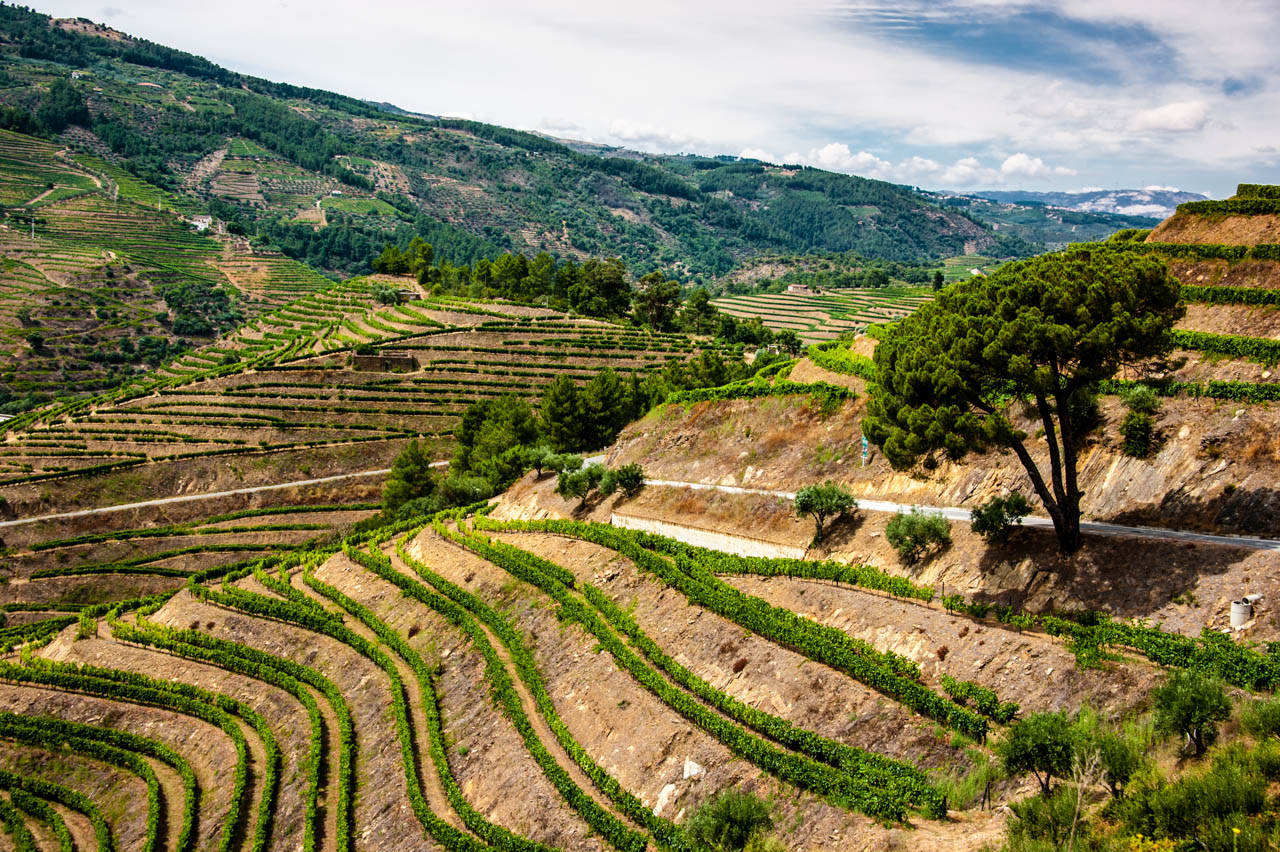 Favaios · Douro